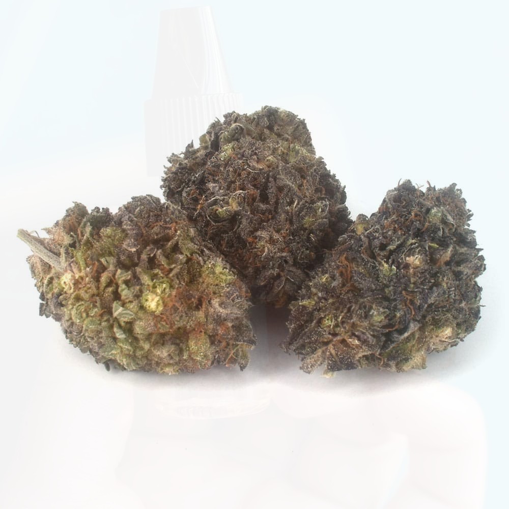 Everything You Should Know About the 9 LB Hammer Cannabis Strain